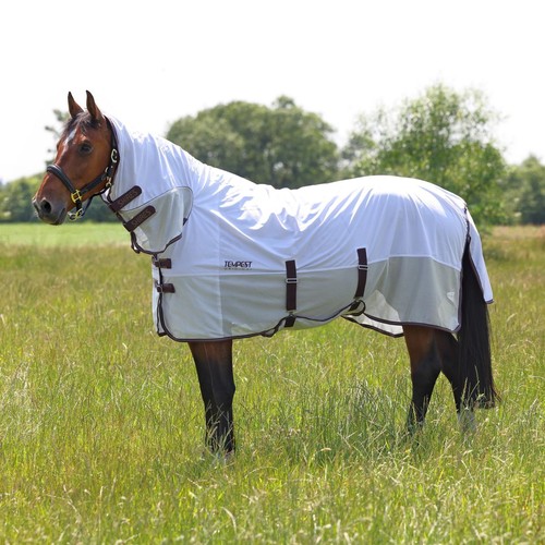Shires tempest original - tempest,