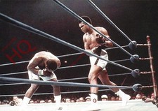 Picture Postcard- Boxing