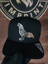 EL GALLO FINO HAT ASEEL ASIL