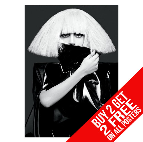 Lady gaga the - the, fame