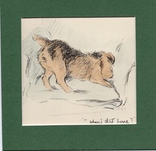 Lucy Dawson ~ Welsh Terrier ~ Hand Coloured Print Genuine Vintage 1939