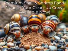 Premium Snail & Shrimp Food -