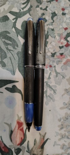 Nettuno dolphin fountain pen - dolphin,