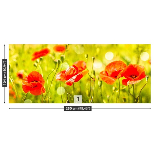 Photo wallpaper wall - photo, mural