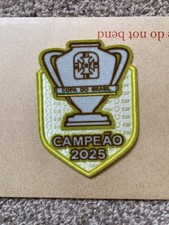 2025 Copa do brasil Champion