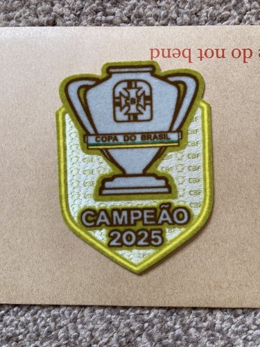 2025 copa brasil champion - 2025,