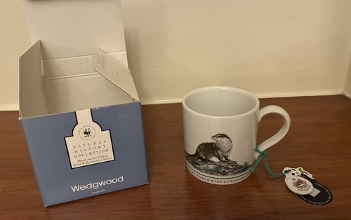 Rare vintage wedgewood world - rare,