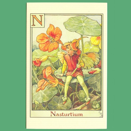Postcard nasturtium fairy - fairy,