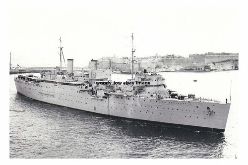Rp16441 royal navy - -,