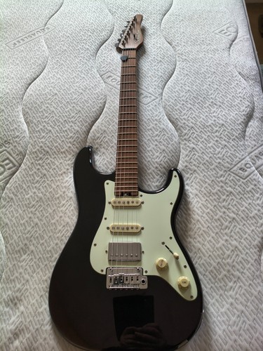 Schecter nick johnston - nick,