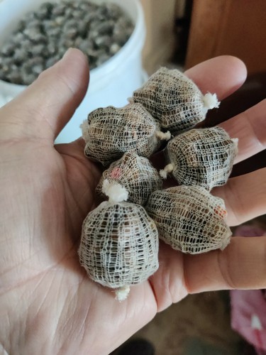 120 pre filled mini carp - 120,