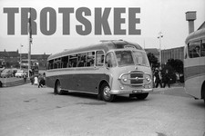 35mm Negative Bingley Kinsley