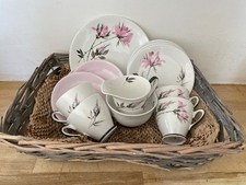 Royal Windsor Bone China Pink