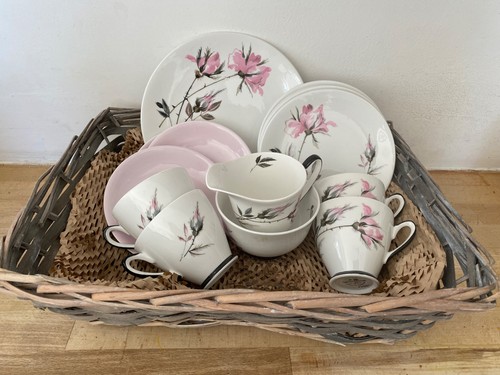 Royal windsor bone china pink - bone,