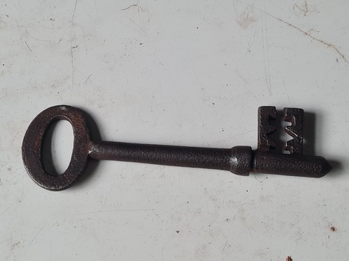 One old antique skeleton key - skeleton,