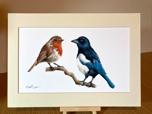 Magpie and robin mounted - magpie,