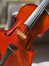 4/4 Size Violin with Case Bow