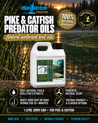Pike catfish natural - &,