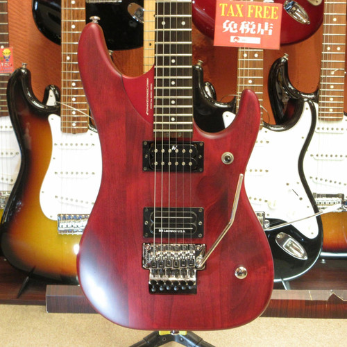 Washburn n24 - washburn,