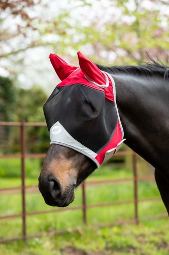 Horse fly mask red - -,