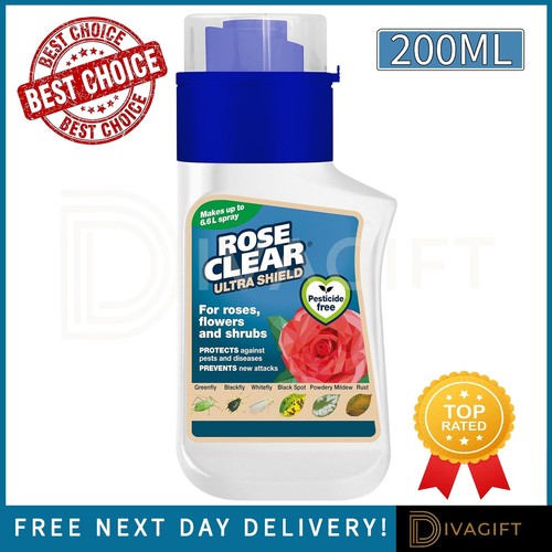 Rose clear ultra shield - clear,