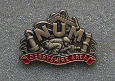 Derbyshire Area Num Badge