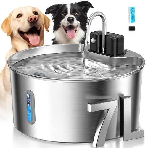 Dog water fountain 8gal - water, fountain: