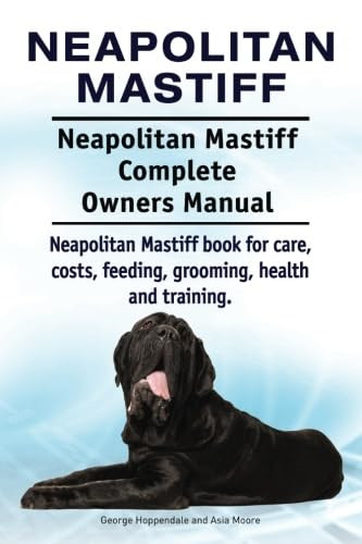Neapolitan mastiff - neapolitan,