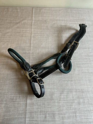 Full size cameo - size, rope