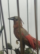 German Antique Singing Bird
