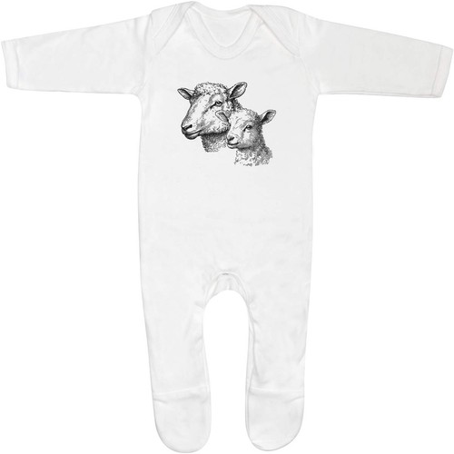 Sheep and lamb - and, lamb'