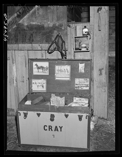 Photo rutland fair vermont - fair,