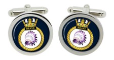 HMS Brave, Royal Navy