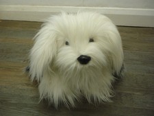 Old English Sheepdog Puppy Dog