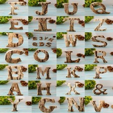 Solid 6 Alphabet Letter