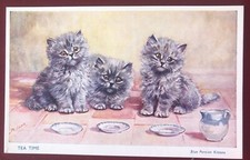 Mabel Gear - Blue Persian Kittens wait for Tea!
