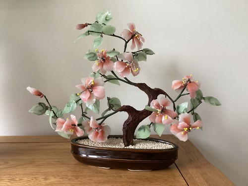 Large chinese cherry blossom - chinese,