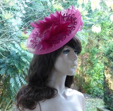 Fuchsia/Hot Pink/Hatinator