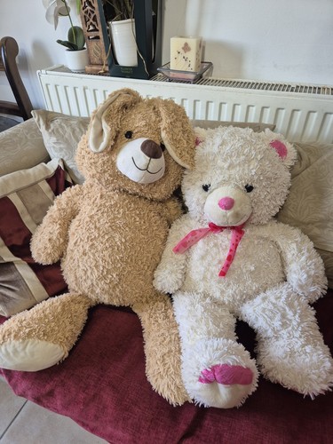 Brown teddy bear white - brown, bunny