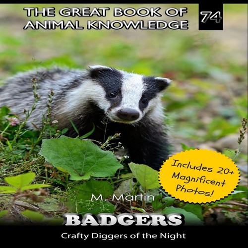 Badgers crafty diggers - badgers, of