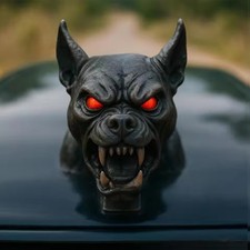 New Demon Dog Car Hood