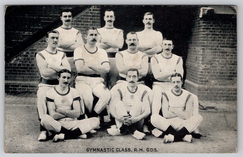 Rppc royal horse - royal,