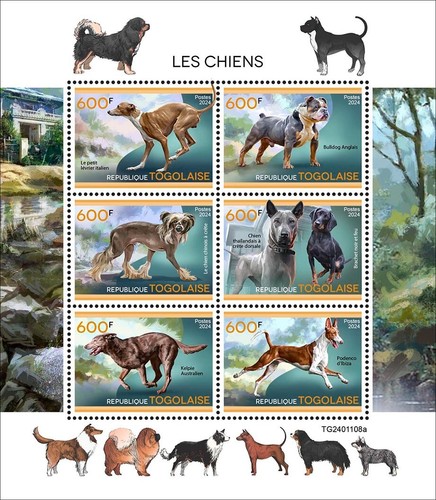 Dogs greyhound bulldog chinese - bulldog,