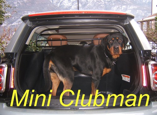 Dog guard barrier screen - dog,