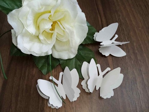 Large 5cm butterfly - 3d,