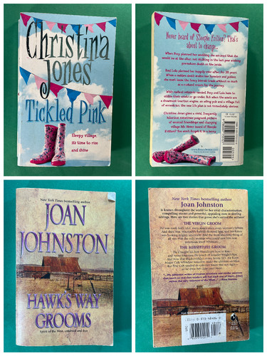 Romance fiction book - fiction,