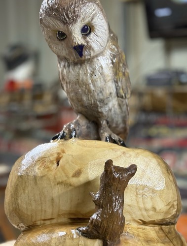 Chainsaw carved wooden owl - , and