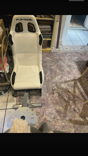 Playseat evolution white - evolution,