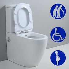 Comfort Height Close Coupled Toilet with Bidet Combined Bidet Toilet Disabled WC
