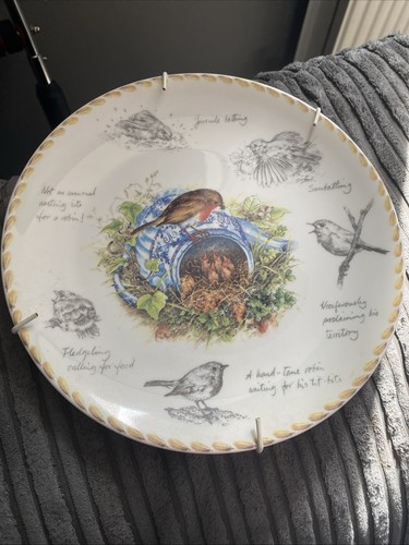The robin wedgwood - plate, 8"